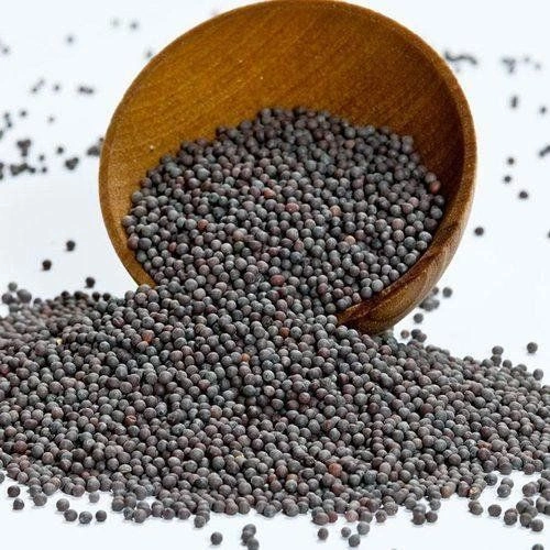 Black Mustard seed-1