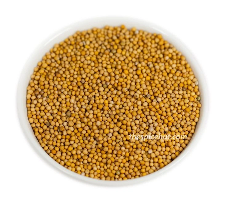 Yellow Mustard Seeds-1