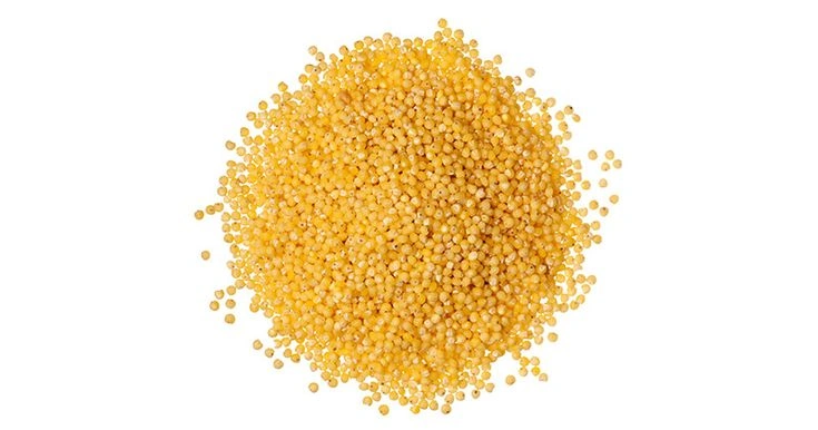 Yellow Mustard Seeds-2