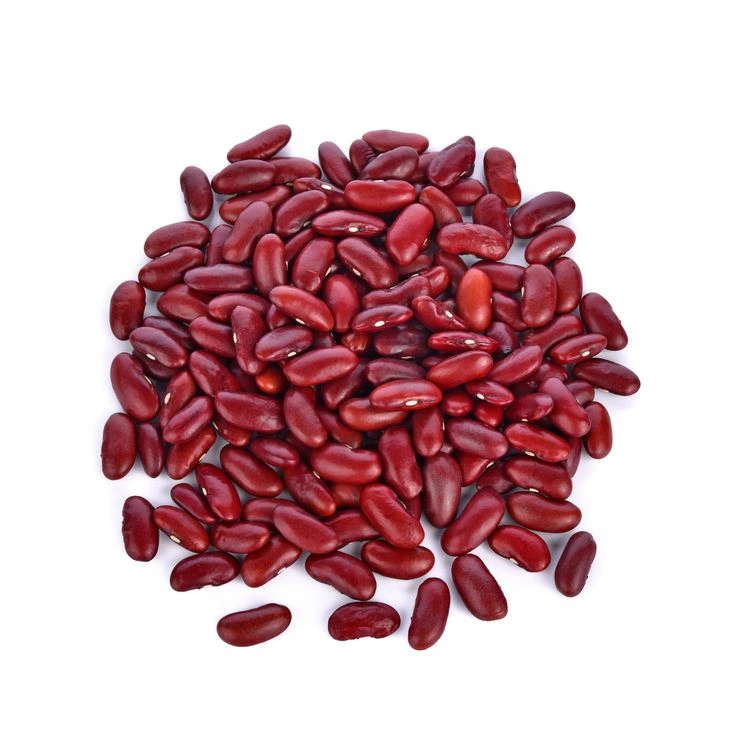 KIDNEY BEANS-3