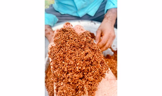 COCO PEAT (5kg Block)