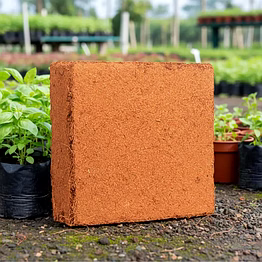 buffered coco peat (coir pith)