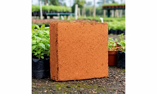 Buffered Coco Peat (Coir Pith)