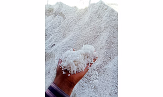 Fine Salt | S A Export