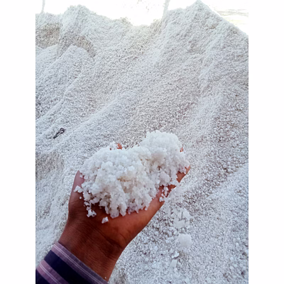fine salt | s a export