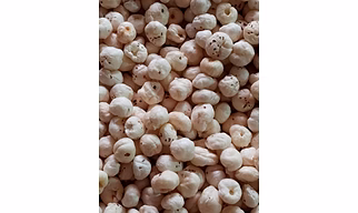 Makhana 6HP