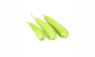 Bottle Gourd