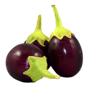 brinjal (eggplant)