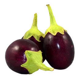 brinjal (eggplant)