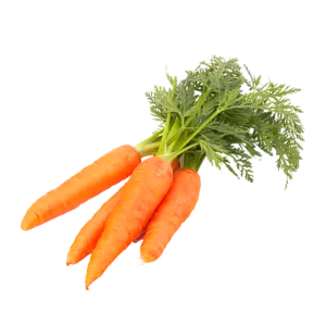 Carrot image 1