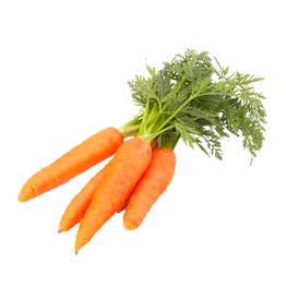carrot