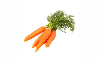 Carrot