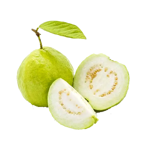 Guava image 1