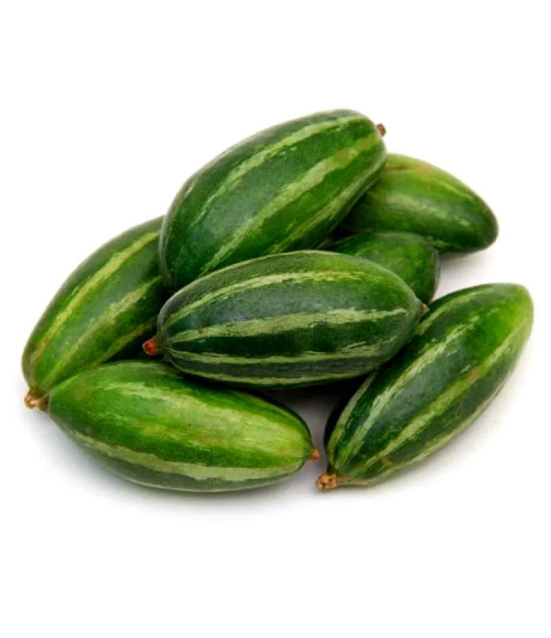Pointed Gourd image 1