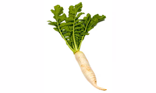 Radish