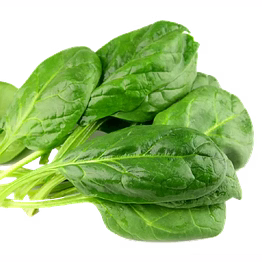 spinach
