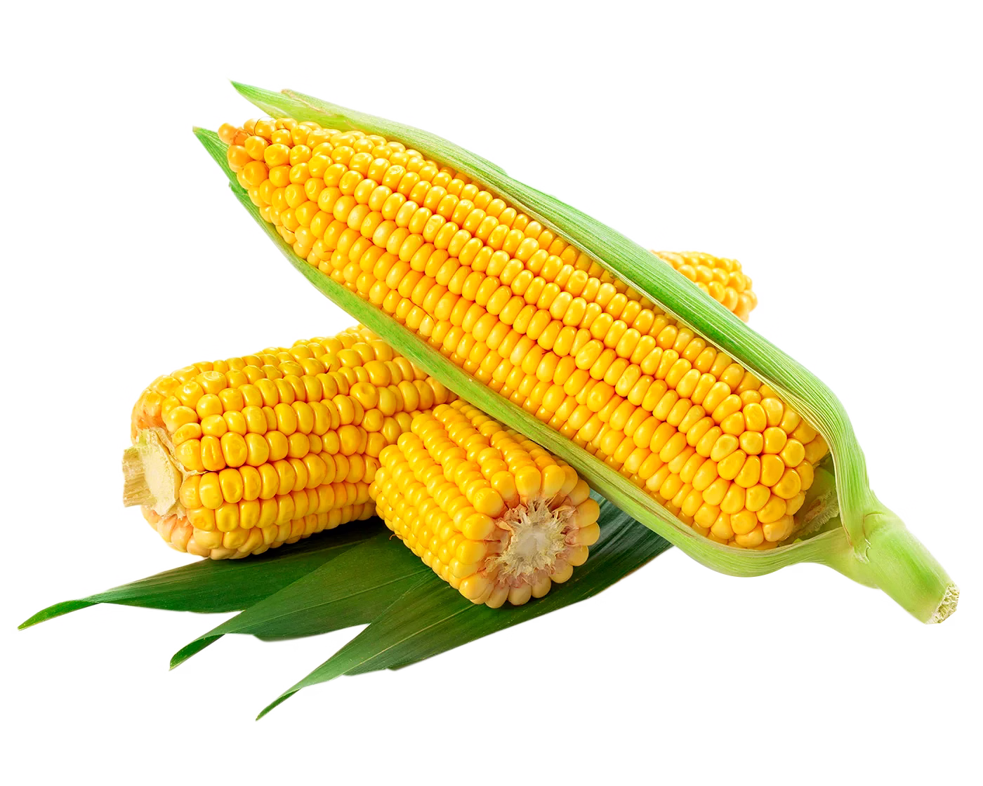 sweet corn