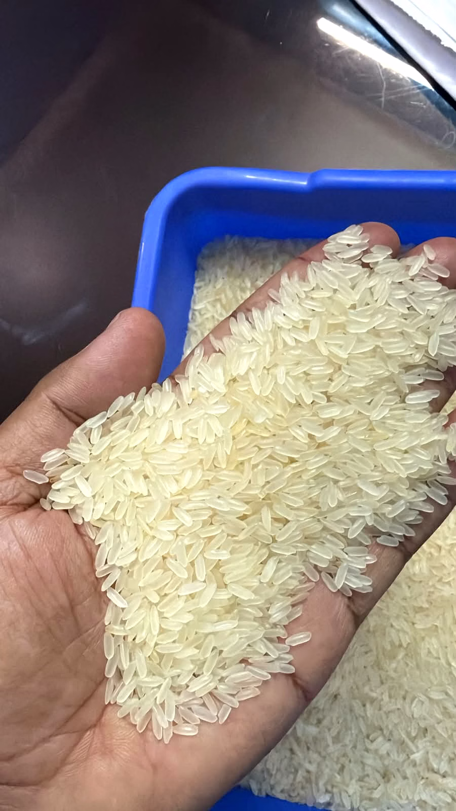 rice ir64
