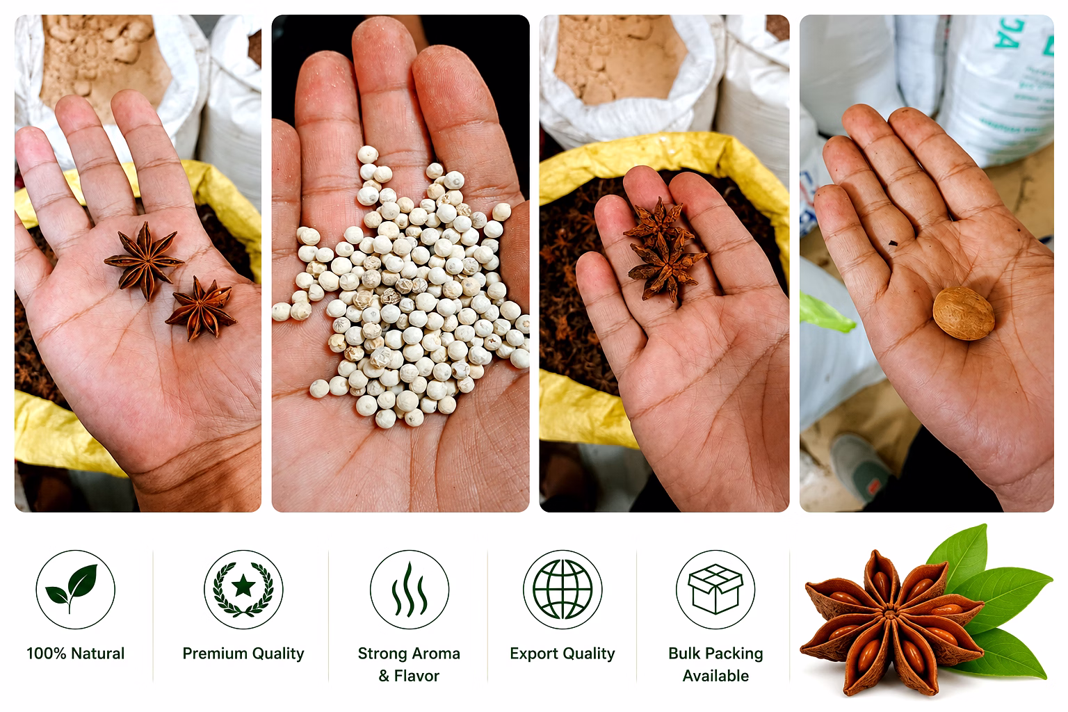 Premium Indian Whole Spices – Export Quality Natural & Aromatic Spices image 2