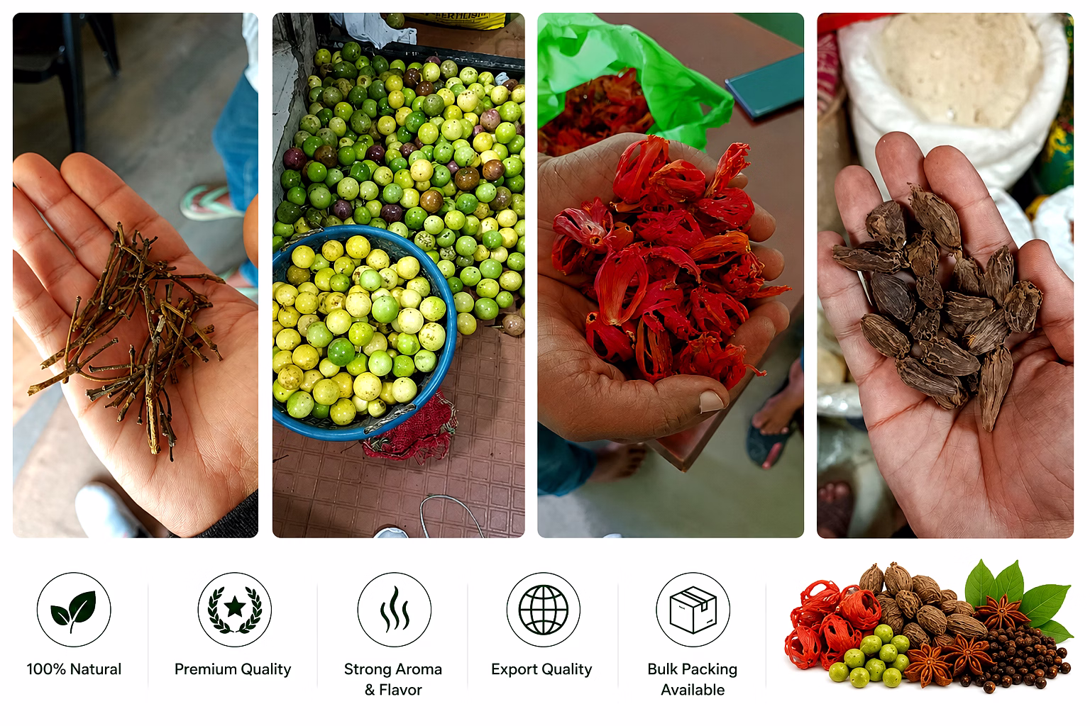 Premium Indian Whole Spices – Export Quality Natural & Aromatic Spices image 4