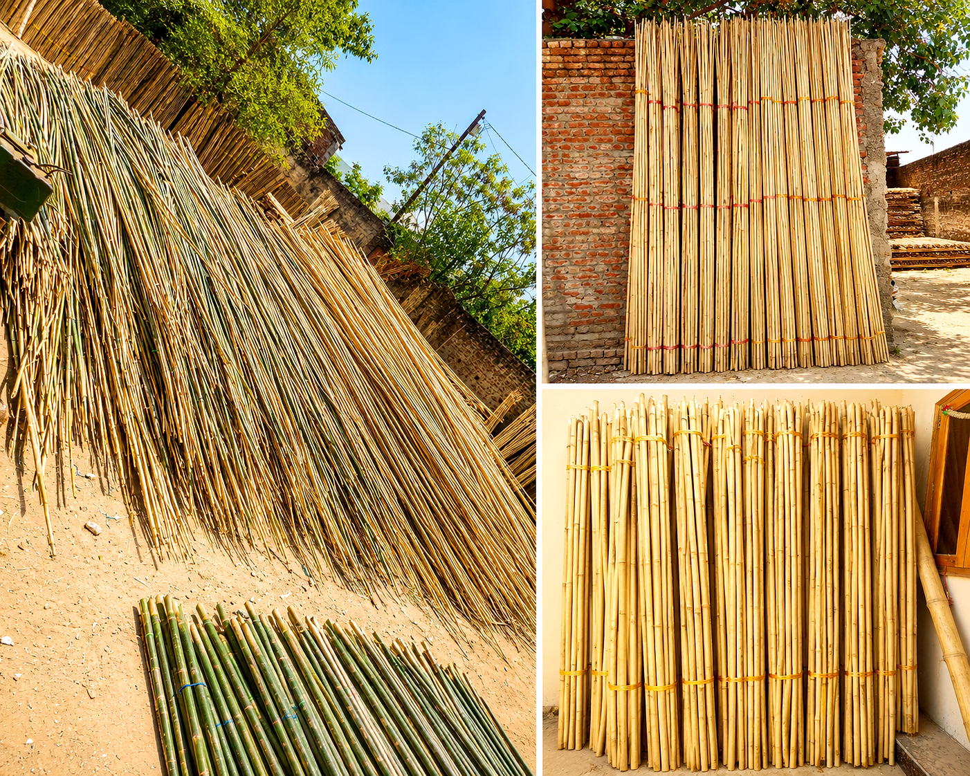 premium natural bamboo poles / bamboo sticks for construction, agriculture & industrial applications