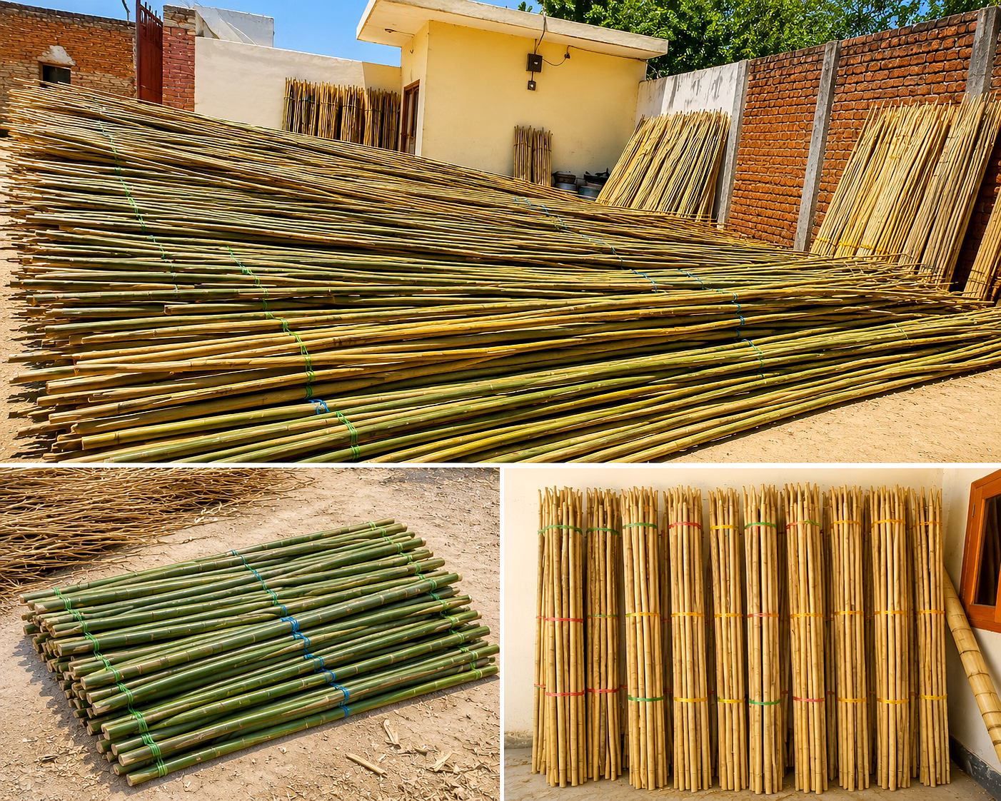 Premium Natural Bamboo Poles / Bamboo Sticks for Construction, Agriculture & Industrial Applications image 2