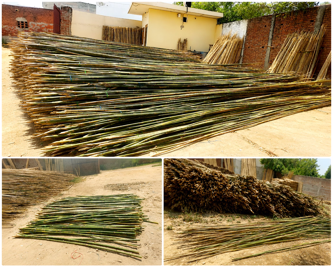 Premium Natural Bamboo Poles / Bamboo Sticks for Construction, Agriculture & Industrial Applications image 3