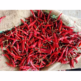 premium quality dry red chilli – export grade whole red chilli from india