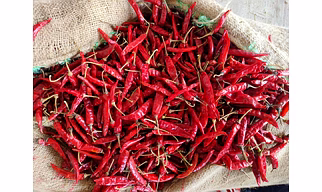 Premium Quality Dry Red Chilli – Export Grade Whole Red Chilli from India