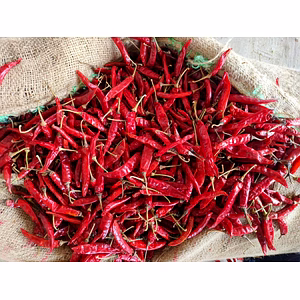 Premium Quality Dry Red Chilli – Export Grade Whole Red Chilli from India
