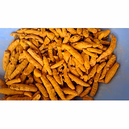 premium turmeric fingers – export quality dried turmeric from india