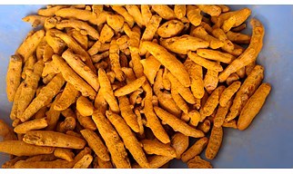 Premium Turmeric Fingers – Export Quality Dried Turmeric from India