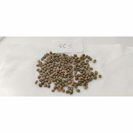 premium raw coffee beans – unroasted arabica/robusta coffee beans from india