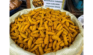 Meghalaya Turmeric High Curcumin Ayurvedic Grade Natural Turmeric Fingers