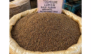 Premium Cumin Seeds Bold Flavor Aromatic Antioxidant Rich Export Quality