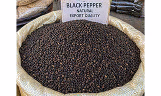 Premium Black Pepper Bold Aroma Export Quality Whole Pepper