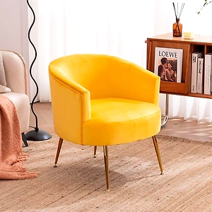 Lounge Chair (LC-11)