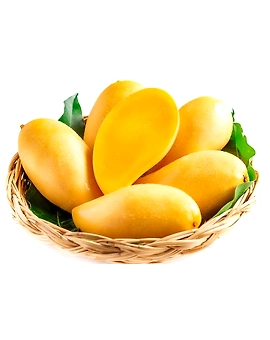 Frozen Mango Pulp