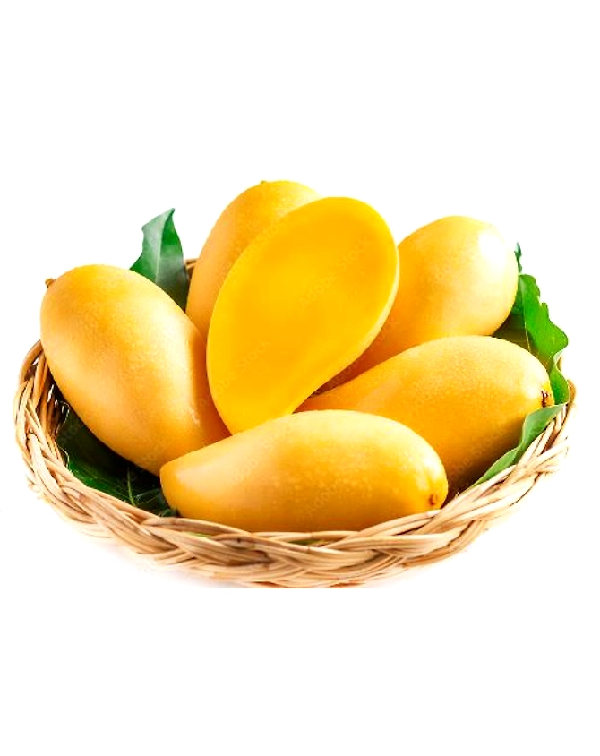Frozen Mango Pulp-1011