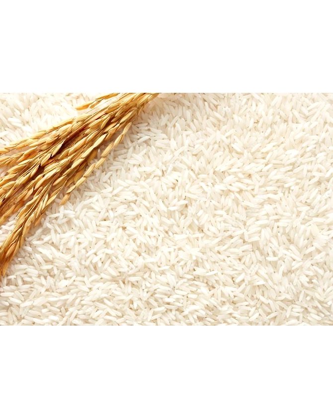 Rice-1