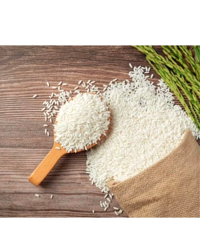 Rice-1004