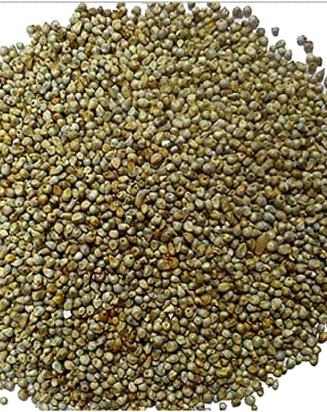 Millets-1003