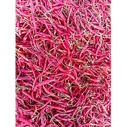 Teja S17 Dried Chilli with stem