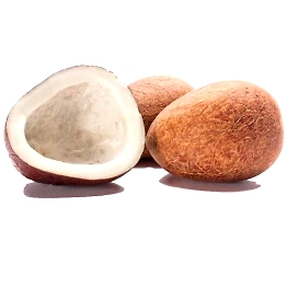 Dried Coconut