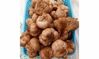 ORIGINAL HILLS GARLIC