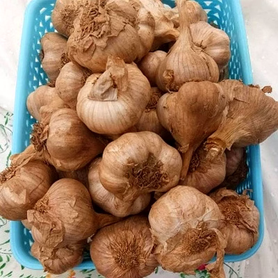 original kodaikanal indian garlic original hills garlic