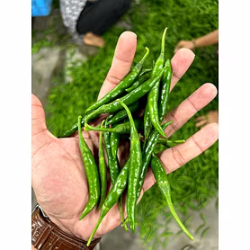 G4 Green Chilly
