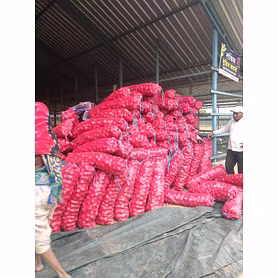 RED OINION