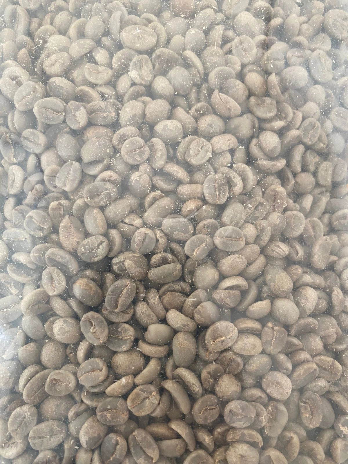 Arabica Green Coffee Beans-1