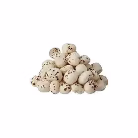 Fox nut